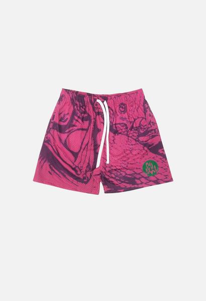 Elle Fuchsia Mesh Shorts