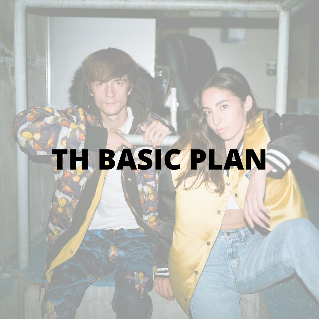 TH Artist Basic Plan